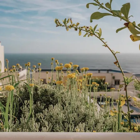 别墅 Antoine 布阿尔库什