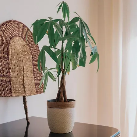 别墅 Antoine 布阿尔库什